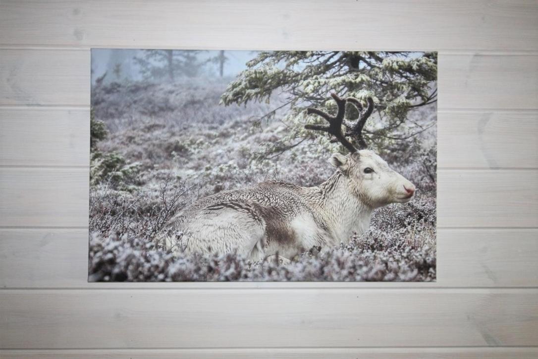ÄkäslompoloLapland Happiness Hillakka 2 A8公寓 外观 照片